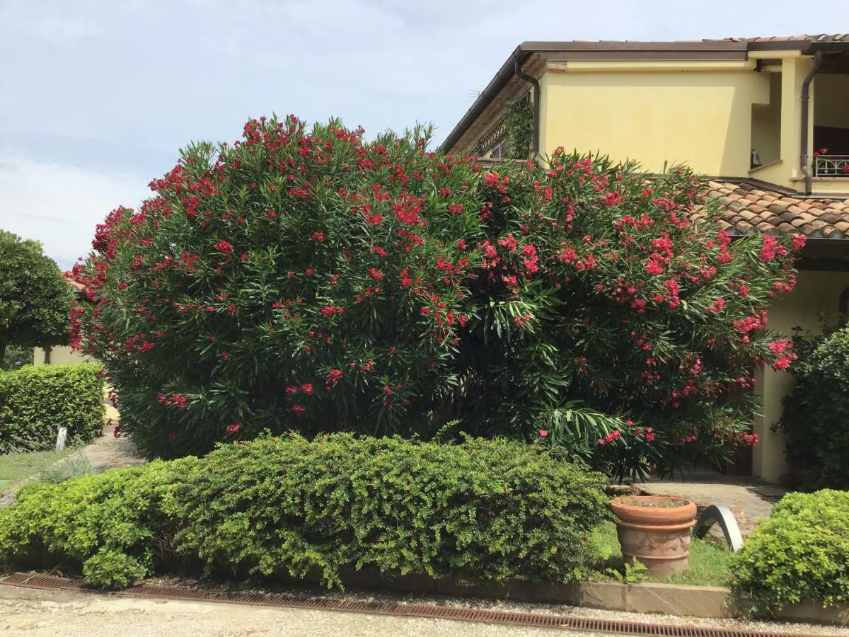 Residence Baia Vallugola Castel di Mezzo 외부 사진
